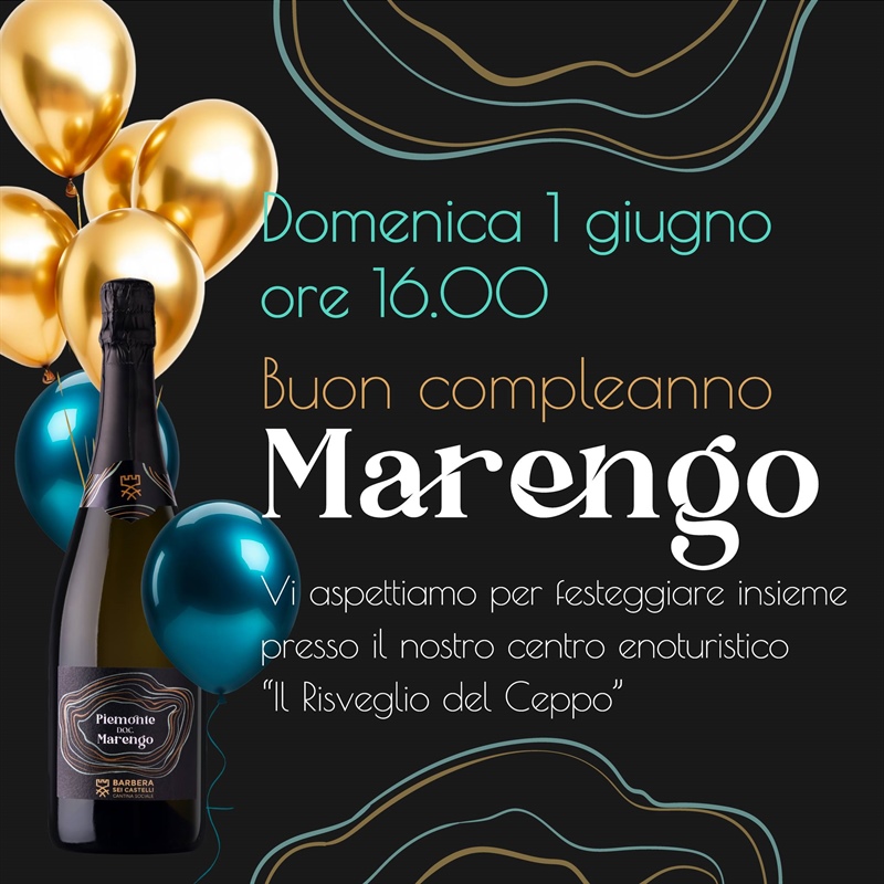 Cantina Sociale Barbera dei Sei Castelli: vino, cultura e arte