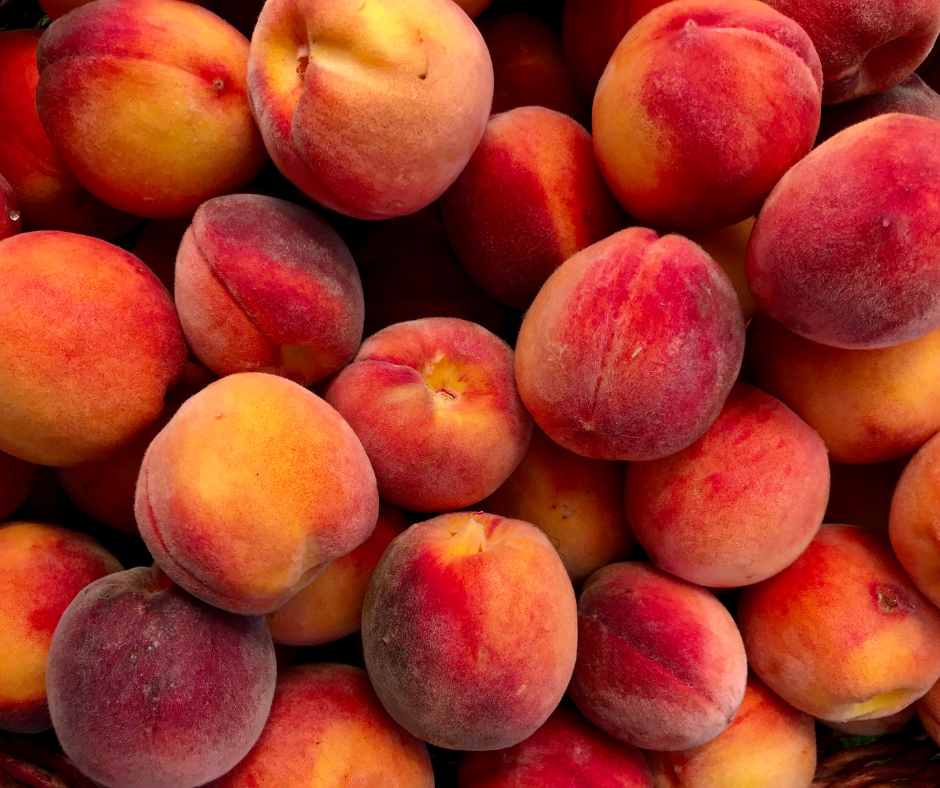 Un’estate di qualità per la frutta piemontese: raccolte promettenti e nuove sfide