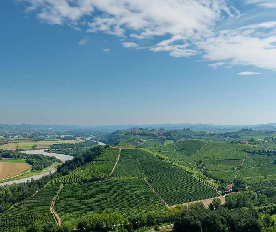 L’eccellenza nella semplicità. Il riconoscimento a Produttori del Barbaresco