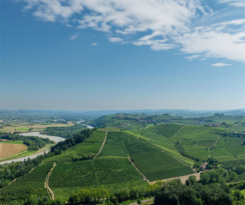 L’eccellenza nella semplicità. Il riconoscimento a Produttori del Barbaresco