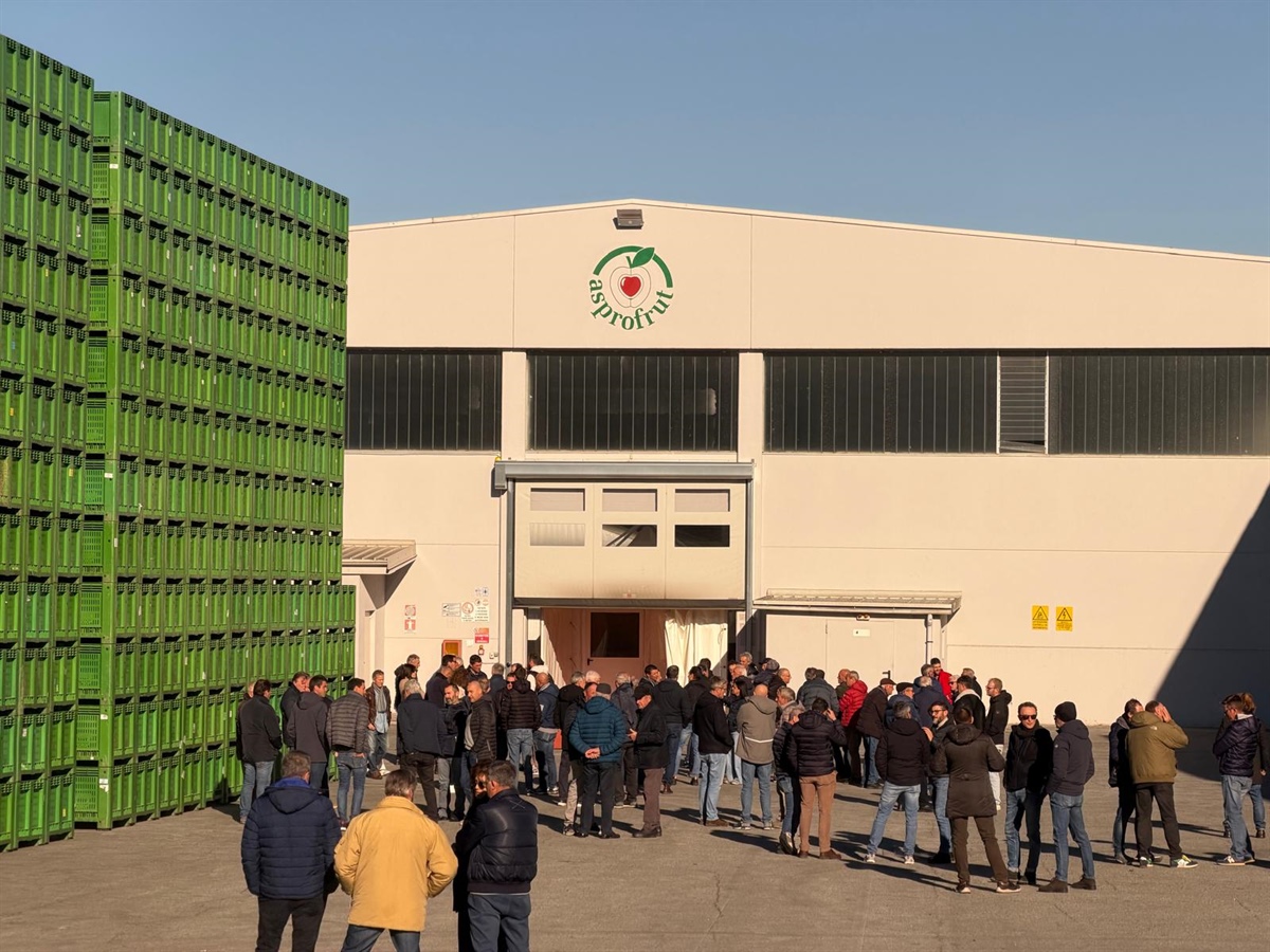 Asprofrut, 55 anni di cooperazione