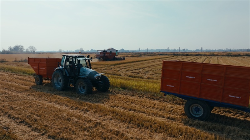 Riso, clausola di salvaguardia al 45%: Confcooperative Agroalimentare e Pesca Piemonte esprime...